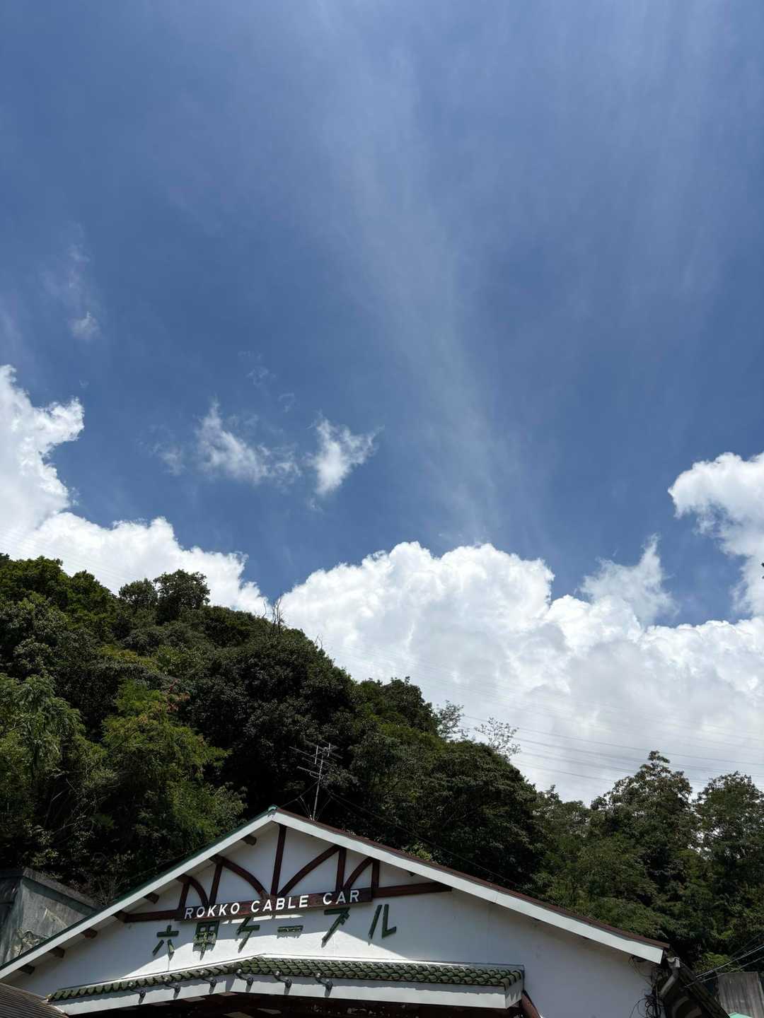 　　　　暑い暑い山歩き🥵💦

　　頭の中は“あ・つ・い"の三文字

　　暑さが和らぐのはいつでしょう…

　　少しはトレーニングできました🏋️‍♂️

　　　無事下山できたことに感謝



　　　　ありがと〜油コブシ⛰️✨



