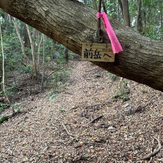 前岳よかったなあ