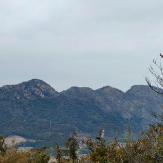 痛ましい山容💦
でも、種まきされるようですね。🟢の火ノ山連山復活が楽しみです💪💪