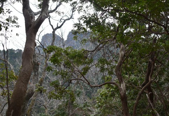 愛知の山 | YAMAP / ヤマップ