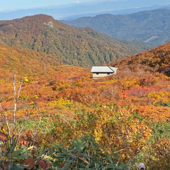 天狗小屋が紅葉に埋もれてます🍁