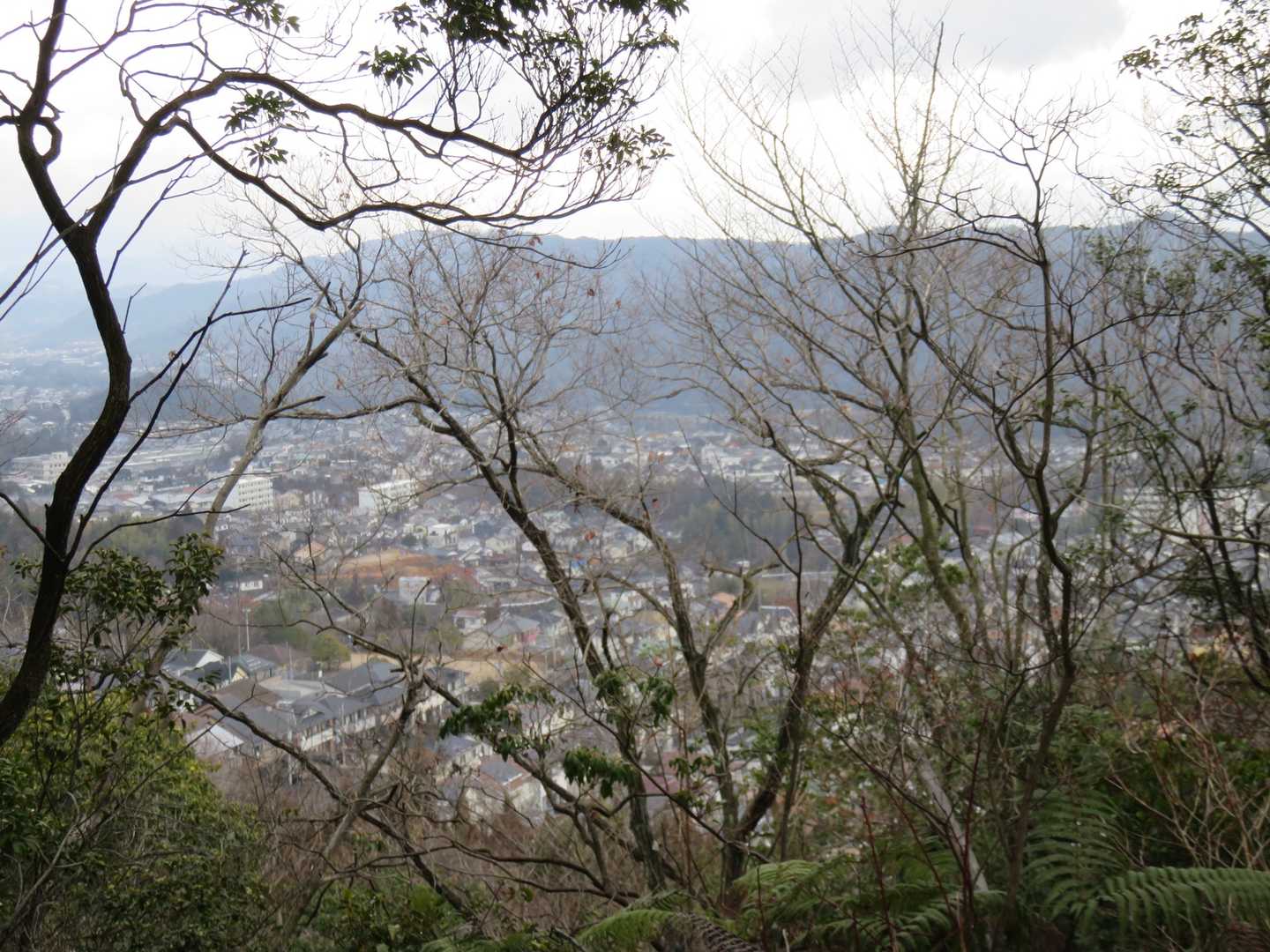 宮ヶ迫山-中野山 往復コースの写真