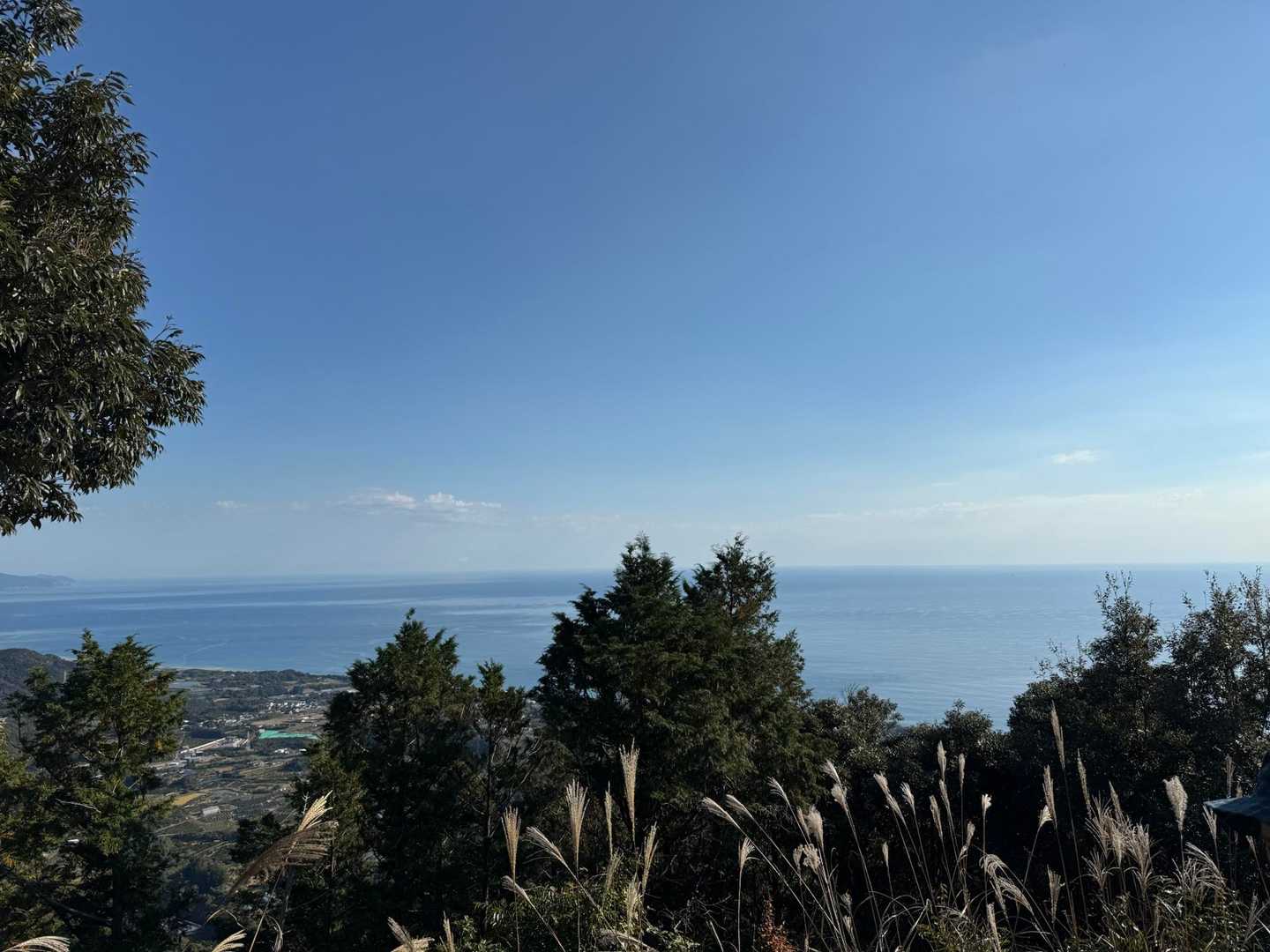 井田舞子バス停-平見登山口-大烏帽子山-牛ノ背-横手延命地 周回コースの写真