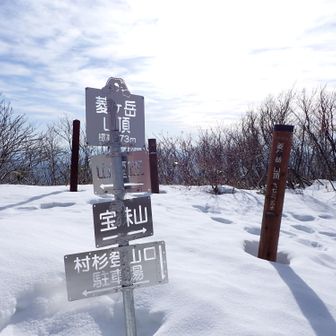 菱ヶ岳山頂
静かな山頂でした

休んでいるとツボ足ノースパイクの健脚さんが登って来てバナナを食べてました🍌。下田から来たとか。