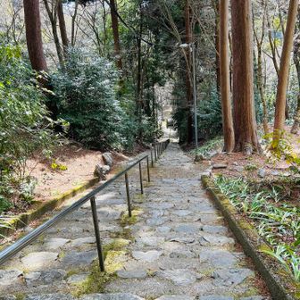 最後は階段ねー