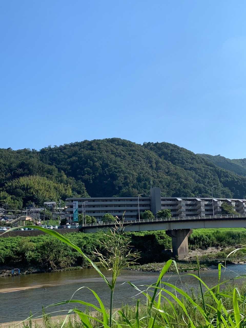これから登る明神山
ほんとにいい天気だなー