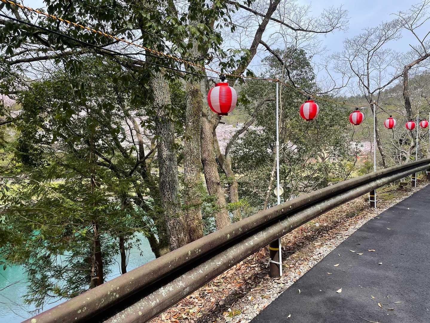 鬼飛山 往復コースの写真