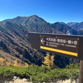 大下りノ頭
ここから降り、大天井岳へ登り返す🦵