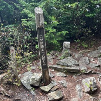 二ッ岳山頂
眺望なしでした