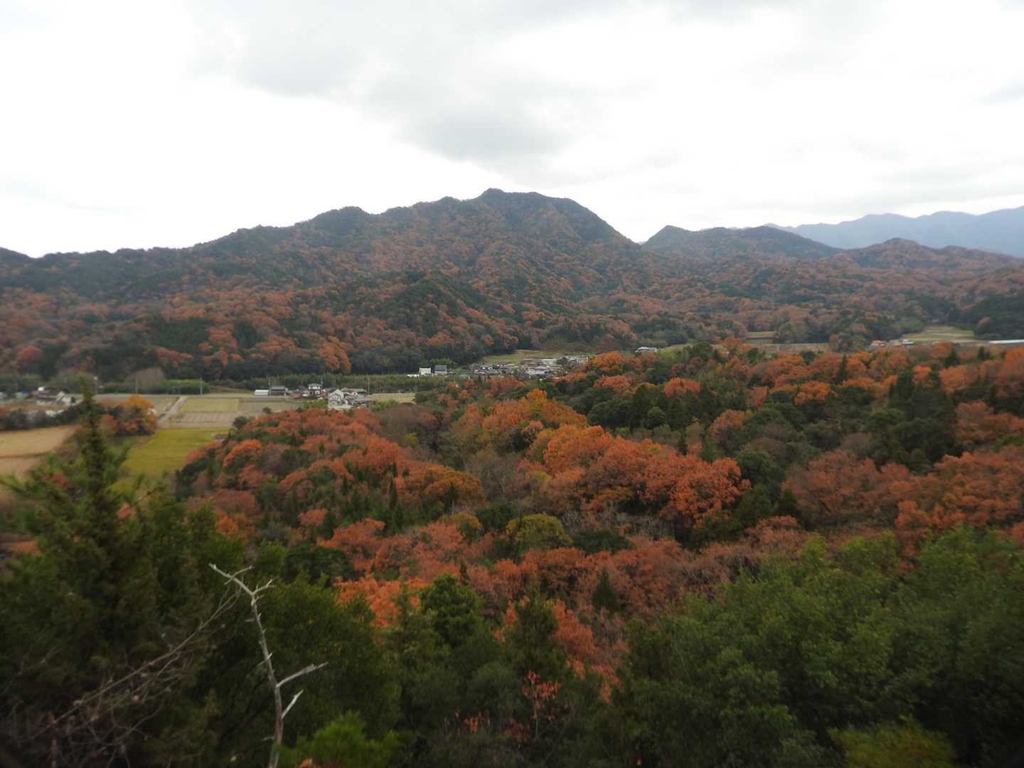 虎丸山を望む