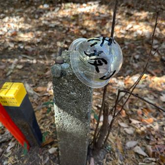赤坂山
目印、ありがとうございます😊