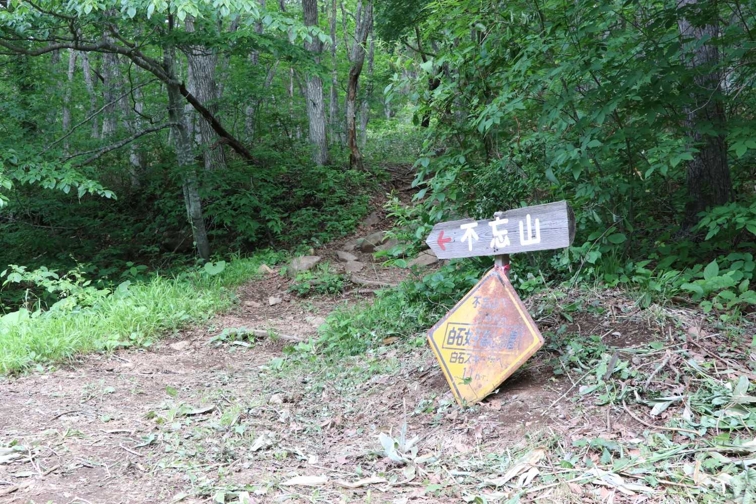 白石女子高山小屋跡から登山道を不忘山へ！！