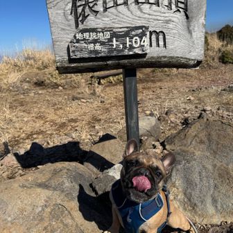 おつかれさま🥹
小さい身体で頑張ったね🫶