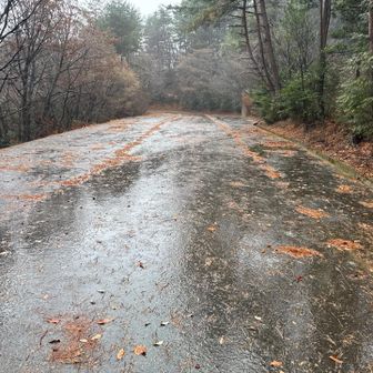 雨が本降りになってきました

ザックのレインカバーが、レインカバー用ポケットのファスナーが壊れていて出せません。
故にザックはビショビショです。
中身はビニール袋に入れてるので無事でしたが😊
8年近く使った今のザックは今日でお別れして、新年から新しいザックに切り替えます