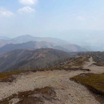 楽しんだ後は下山して昼飯食うぞー
帰りはコケやすいので気をつけよう
名残惜しさはこの後食べにいく大トンテキの欲に掻き消され…