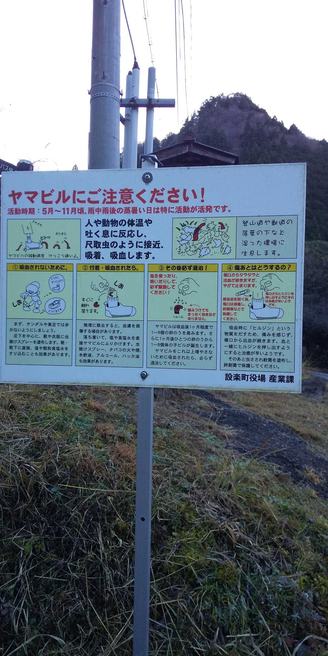 そして…
細かぁく記されたヤマビル注意の看板😱