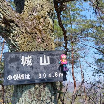 山頂到着！
城跡ですね
市街一望の高台
周り山だらけ👍