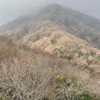 では遠足尾根分岐へ登っていきます。