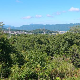 奥の尖がり山は額井岳(大和富士)