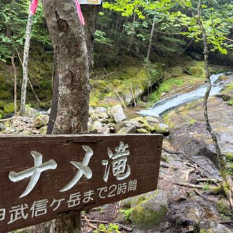 また水流強めになる