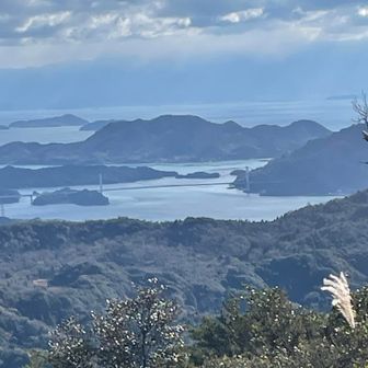 山頂からの眺望
木々の間から瀬戸内海がきれいです