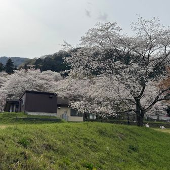 素敵ﾟ+.ﾟ(´▽`人)ﾟ+.ﾟ