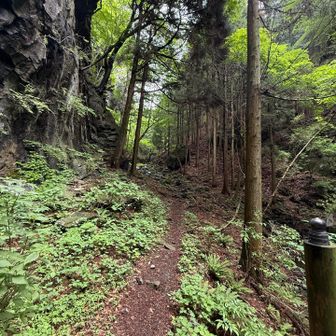 滑る木道は屏風岩まで🖐️
屏風岩から先は、土の上を歩きます🎶