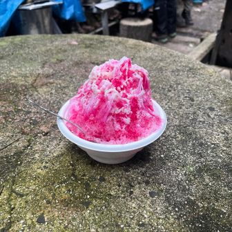高座ノ滝にお店あった
かき氷うまし