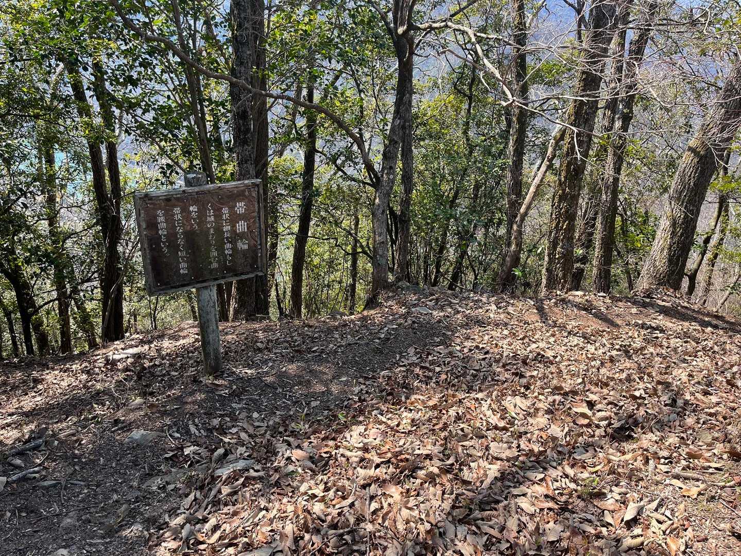 佐伯天神山 周回コースの写真