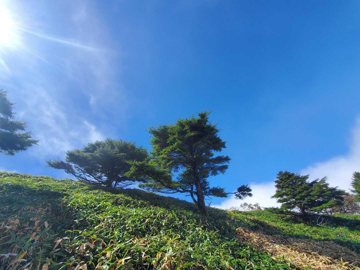 剣山 往復コースの写真