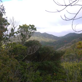 お子さんがサッカーをしているらしく、