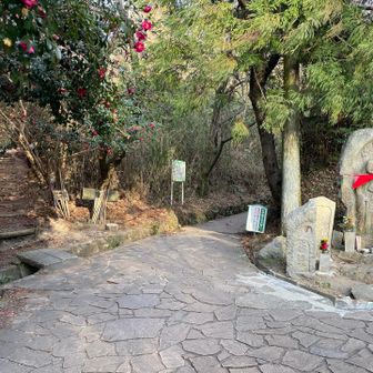 戻ってきました