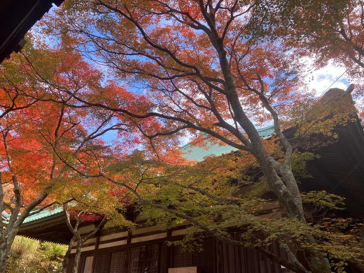 施福寺-槇尾山バス停 周回コースの写真