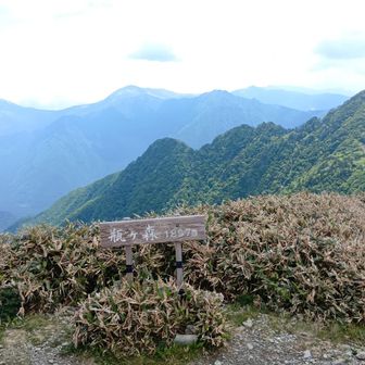 瓶ヶ森(女山)山頂に到着。去年初めて来たときは、ガスっていてこんなによく見えなかった。