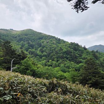 山頂が見えた！