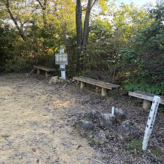 俎石山