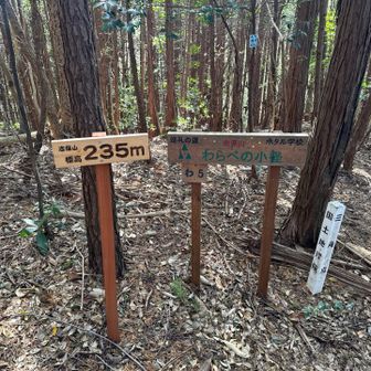 今日最後のピーク