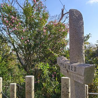 毎回撮ってしまいます。