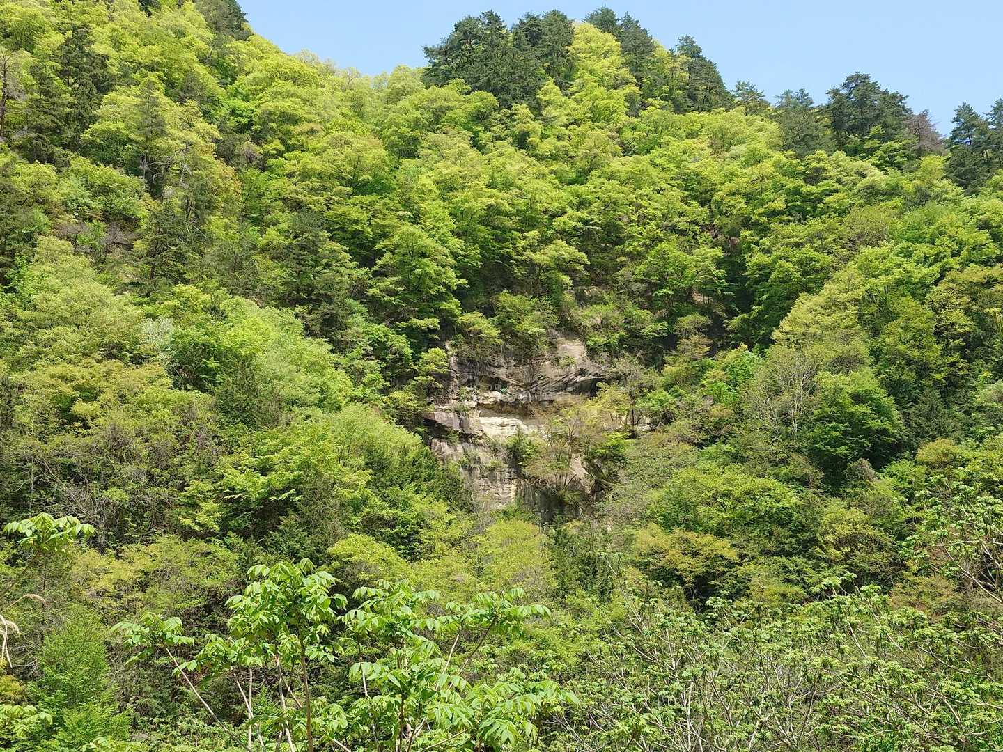 舗装路に出て大姥滝へ向かいます
途中からさっき行った大穴かな？