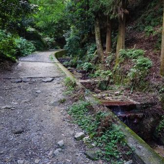 沢沿いで涼しいです