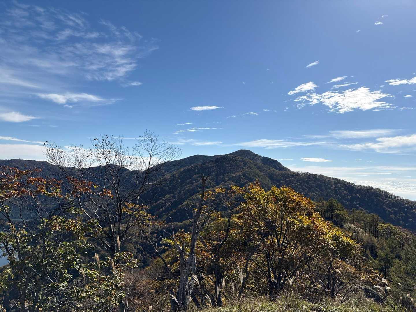 振り返って、半月山