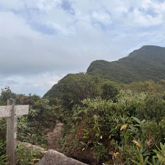 なんちゃらの塔に到着！！

「あれが祝瓶山かー！」→ニセピーク🤣