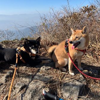 風ちゃんはいっぱい触られてテンション高め（笑）