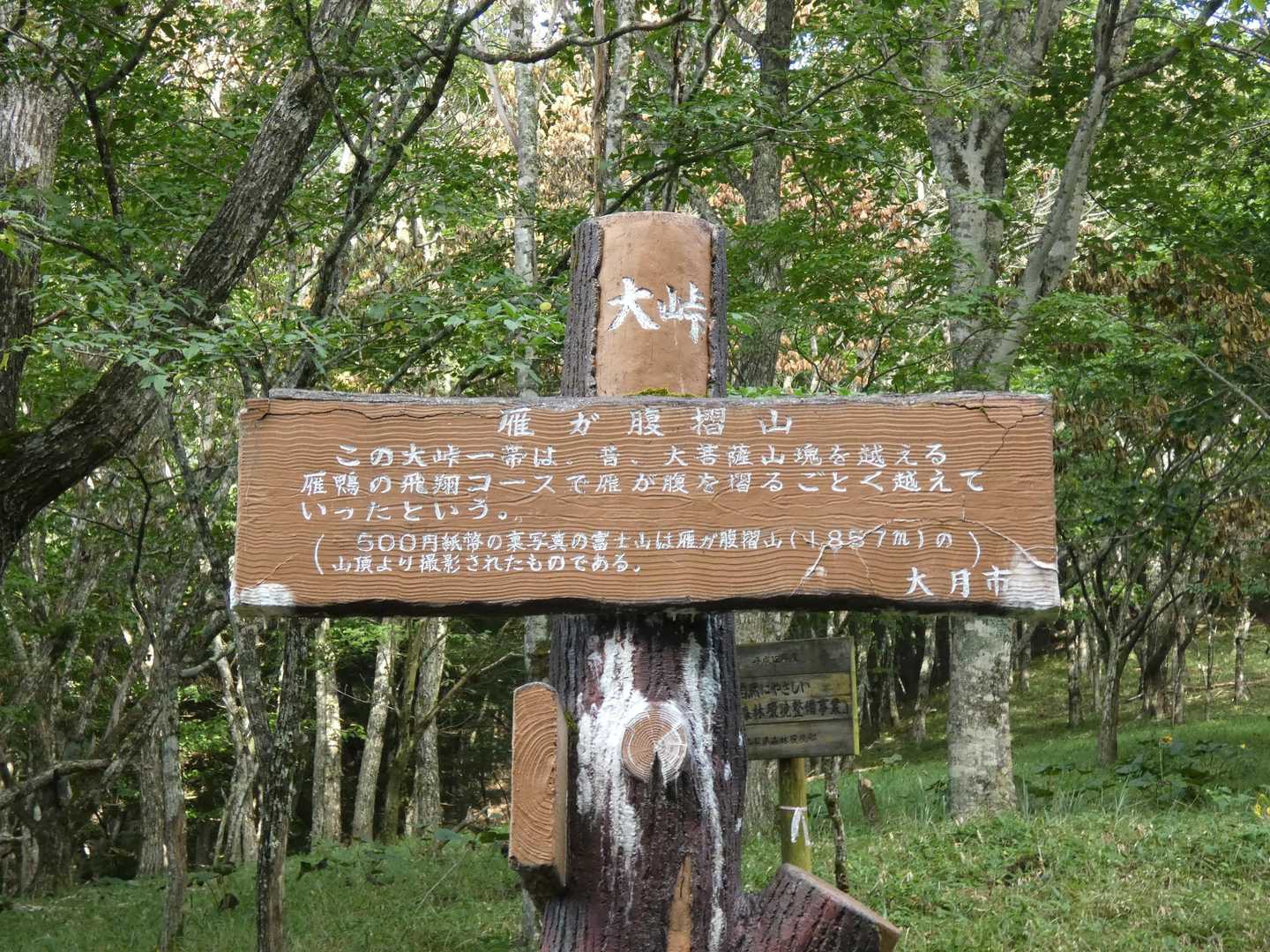 結局ナビが間違っていて、ここまでは綺麗な舗装路でした💦
本日はこの大峠からのスタートです🏃