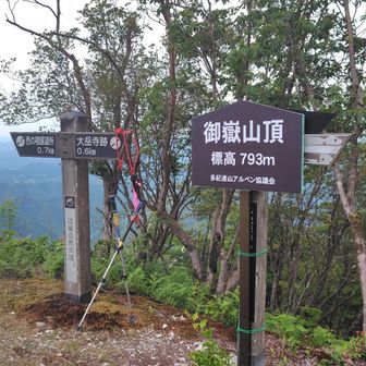 熊鈴は今まで持って歩いたことがなかった
ザックに1つ チリーン
ストックに1つ  ガラガラ〜
賑やかに歩いています

ストック2本は護身用
野生動物相手に勝てるとは思わないけれど素手よりか抵抗できそう
ちなみに山中で熊に遭遇したこと
2回あります  春山の蓮華温泉から朝日山に向けて登る途中で
オトコ2人武器はピッケル   2人して何もできず息を潜めて固まってました  笑
