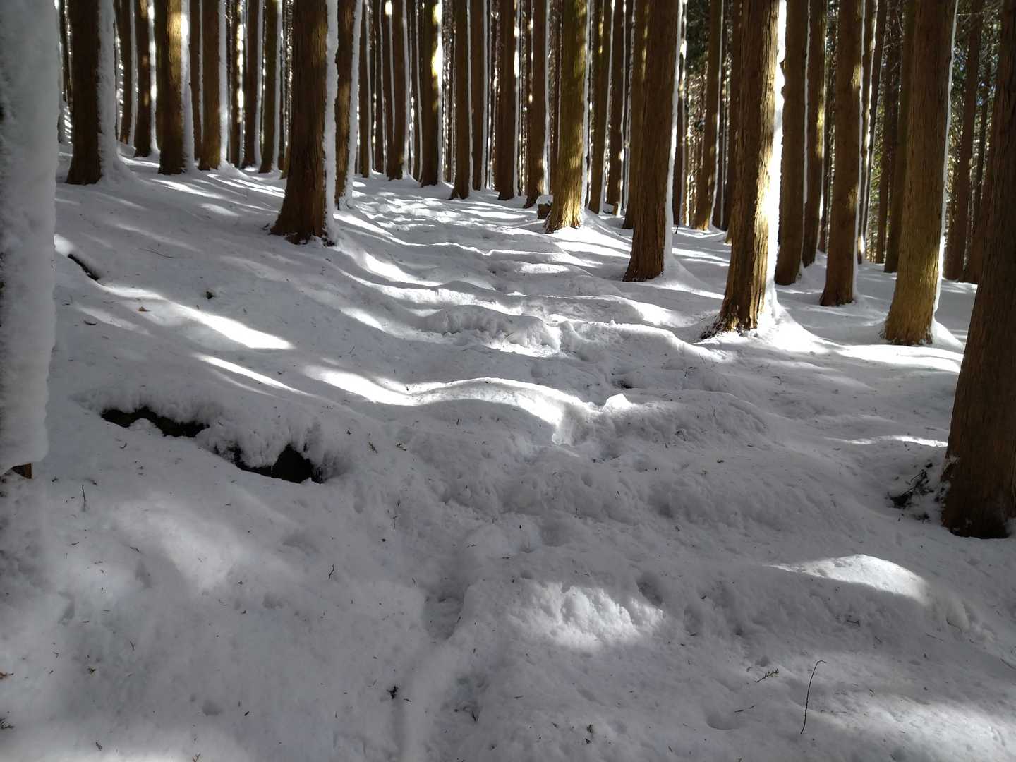階段が埋まって歩いやすい🤗