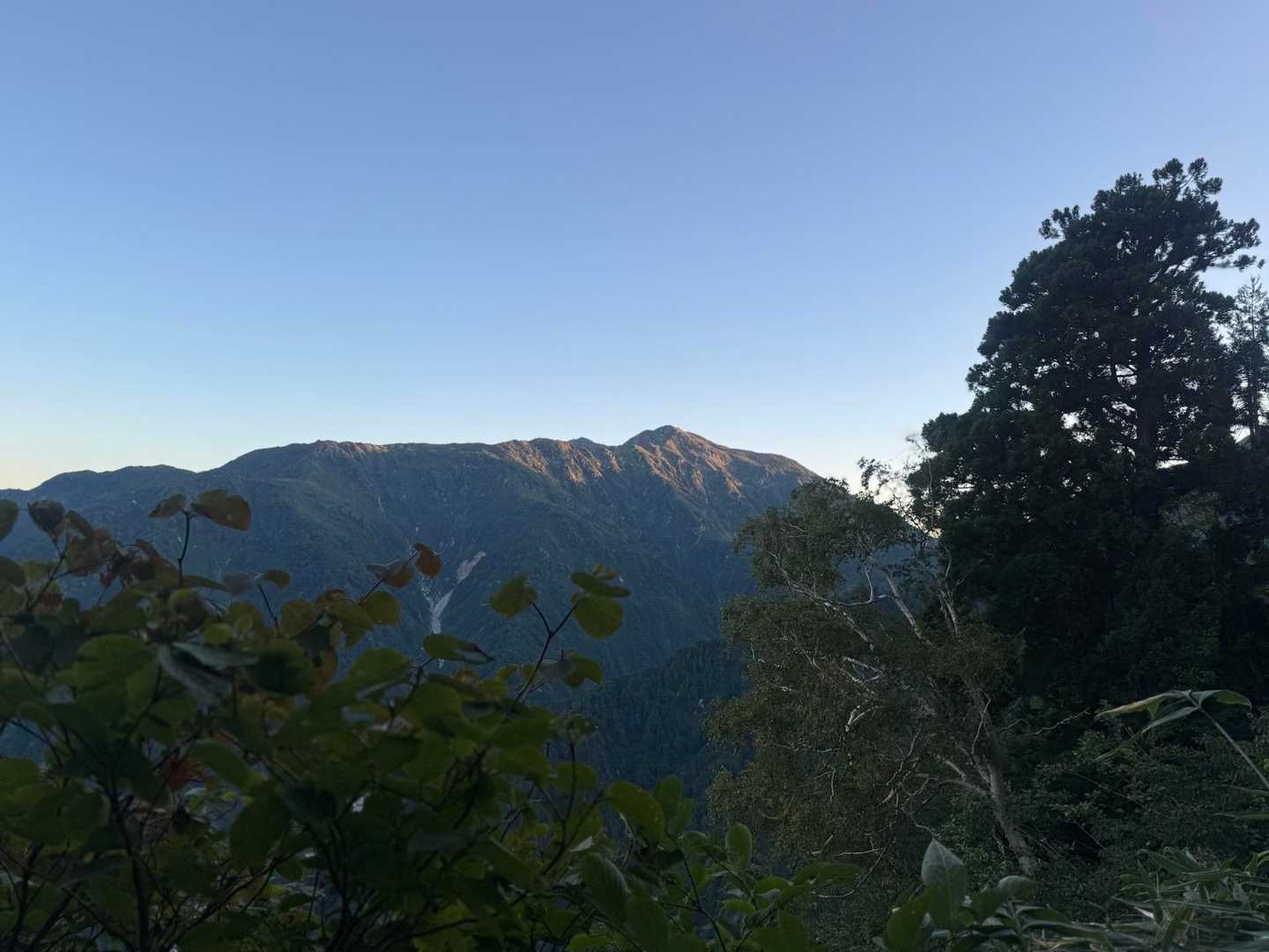 早月尾根コース | 標高差2200m、北アルプス三大急登が試す「岩の殿堂」への道の写真