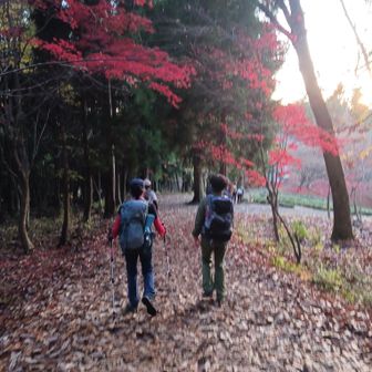 よーやく降りました