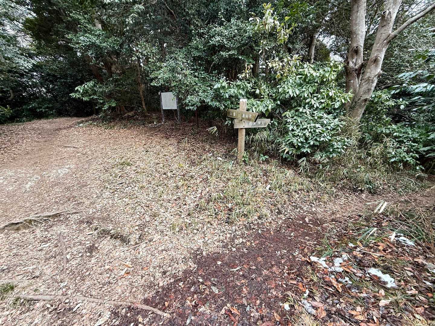 登山計画では左手に進む予定でしたが、右手に高来神社に降る登山道発見！

YAMAP地図で確認すると、他の登山道より少ないけれど、みんなの軌跡があるのでこちらの道で降って行きます↘️