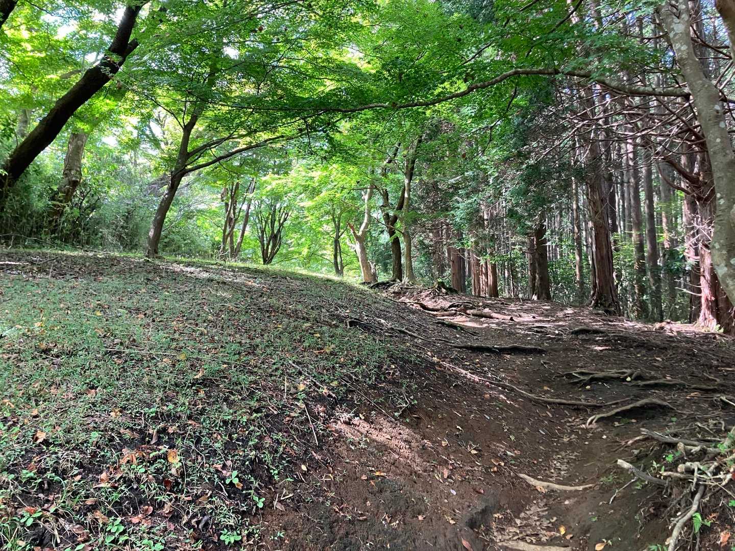 行きかう人も少な目。マイペースで進む事ができた。